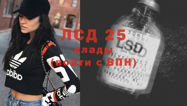 spice Баксан