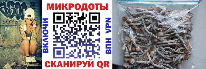 Псилоцибиновые грибы Psilocybine cubensis Пятигорск