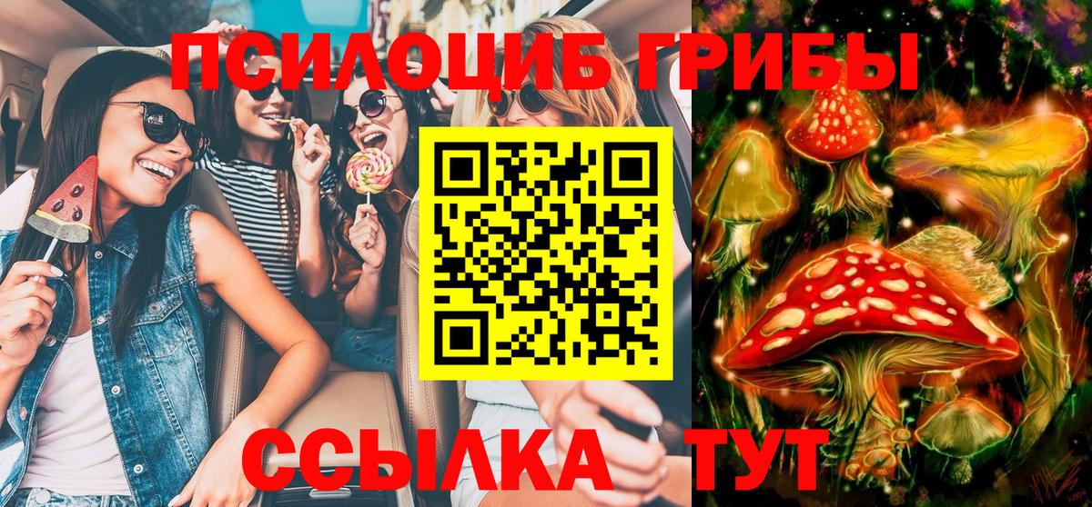 наркота  Вход с VPN  Пятигорск  Псилоцибиновые грибы Magic Shrooms 