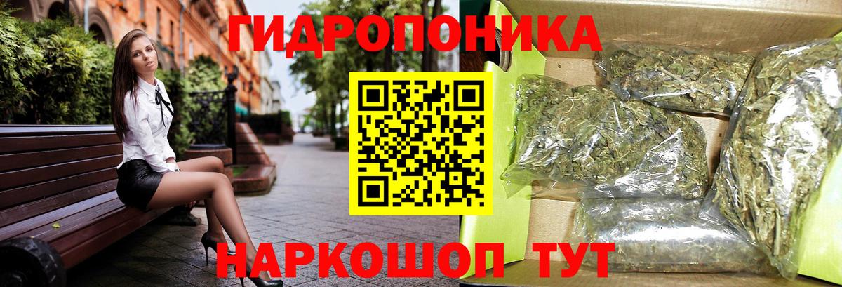 Канабис ГИДРОПОН  Шишки марихуана OG Kush  Пятигорск  Вход с VPN  Бошки марихуана ГИДРОПОН 